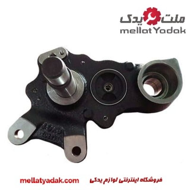 سگدست عقب تلیسمان