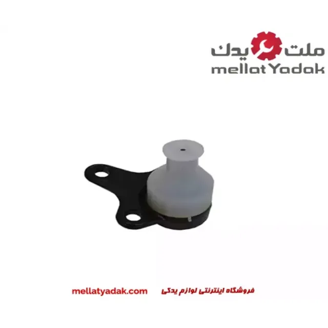 سیبک طبق آریزو 5 سیبک طبق آریزو
