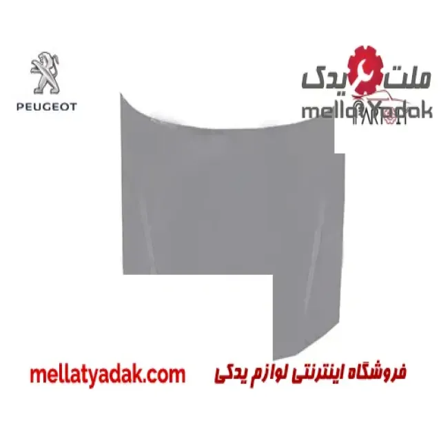درب موتور پژو 405
