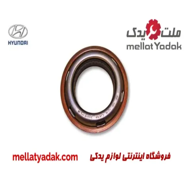 کاسه نمد پلوس هیوندای آزرا