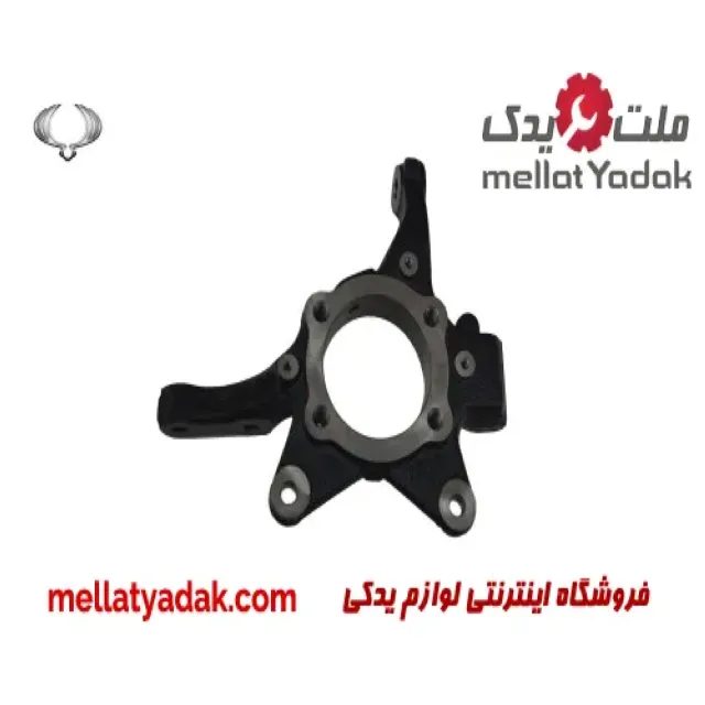 سگدست جلو راست سانگ یانگ تیوولی
