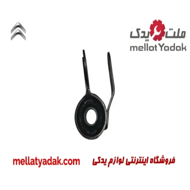 بوش طبق جناقی چپ زانتیا