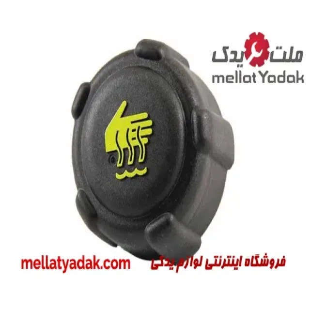 درب منبع انبساط رنو ساندرو
