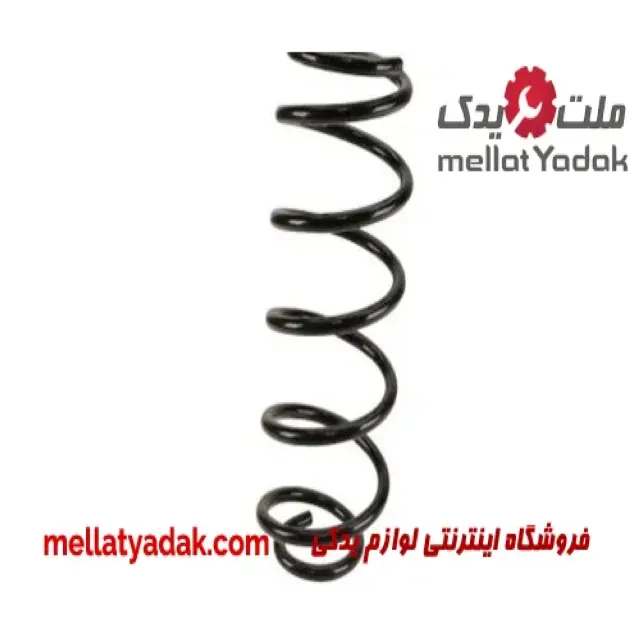 فنر لول سوزوکی کیزاشی