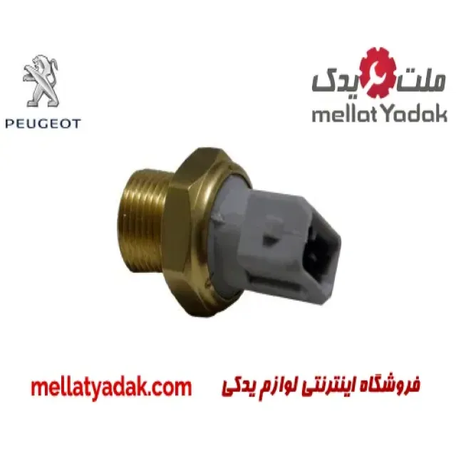 فشنگی روغن پژو 405