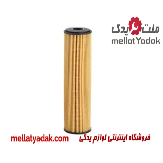 فیلتر روغن چیرمن سانگ یانگ