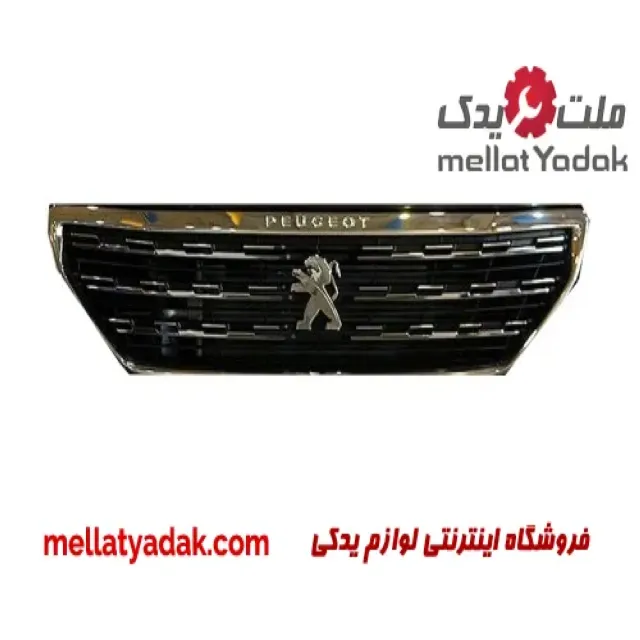 جلوپنجره پژو301