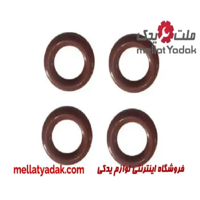 اورینگ سوزن انژکتور رنو ساندرو