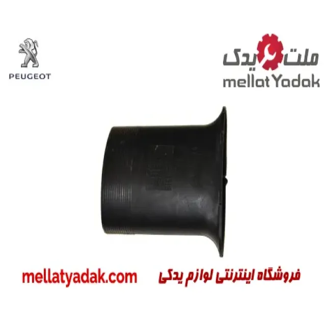 رابط سینی فن پژو 405