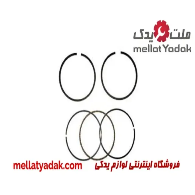 رینگ موتور  پژو 405