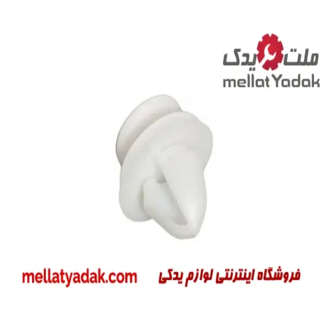 خار رودری رنو ساندرو