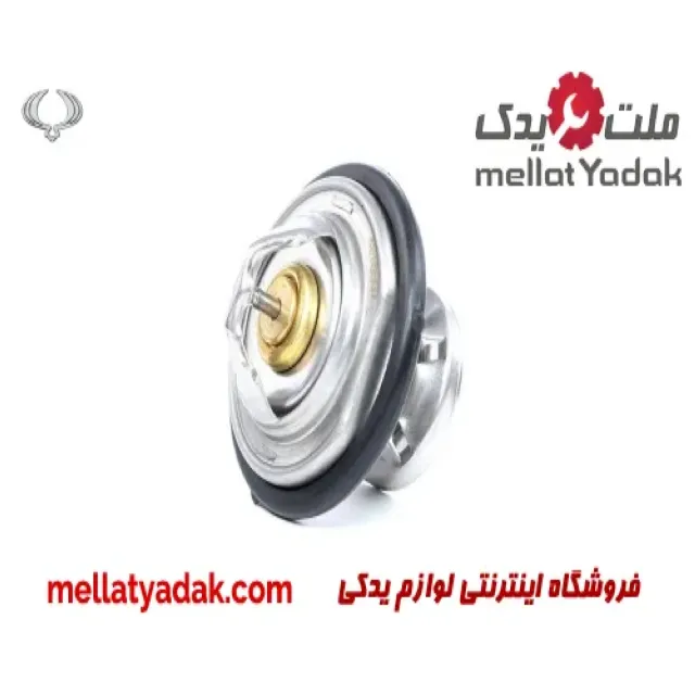 ترموستات کایرون سانگ یانگ