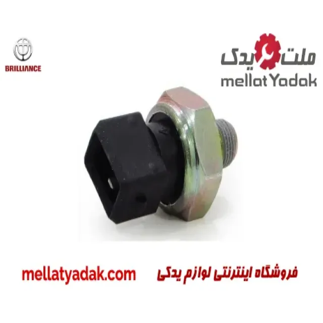 فشنگی روغن برلیانس V5