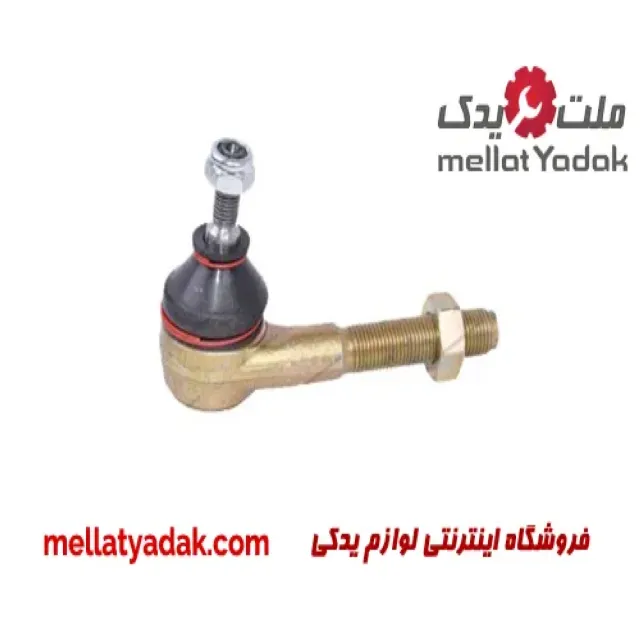 سیبک فرمان چپ زانتیا