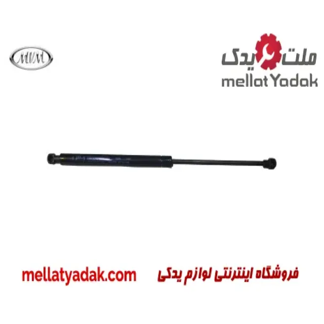 فیلتر بنزین ساینا