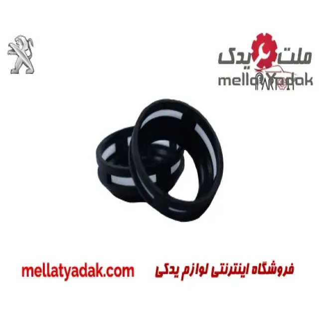 صافی سوزن تپل انژکتور پژو 405 3 صافی سوزن تپل انژکتور پژو 405