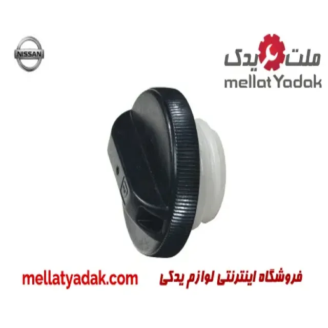 در باک نیسان پیکاپ