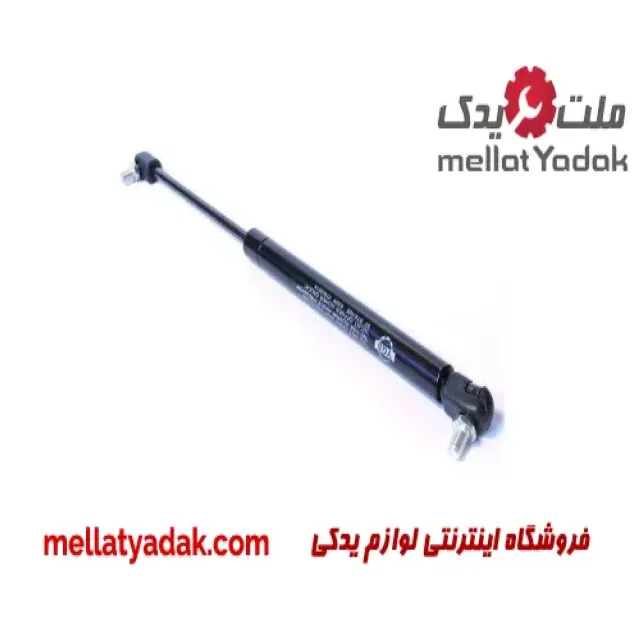 فیلتر بنزین آریو Z300