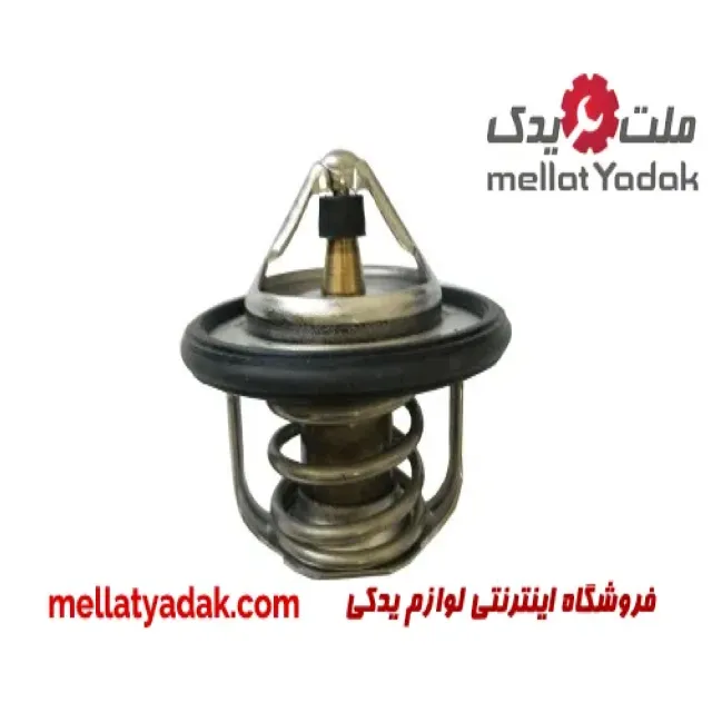 ترموستات کوچک نیسان ماکسیما