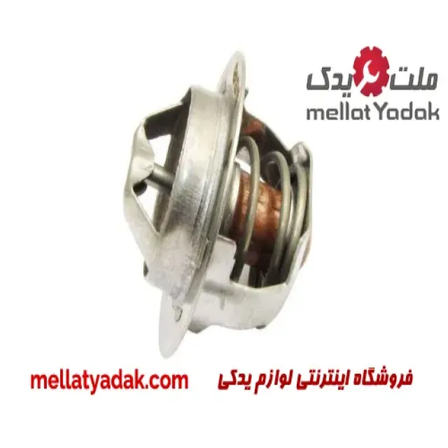 ترموستات پژو RD