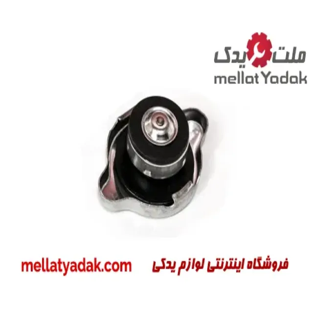 درب رادیاتور ویتارا سوزوکی