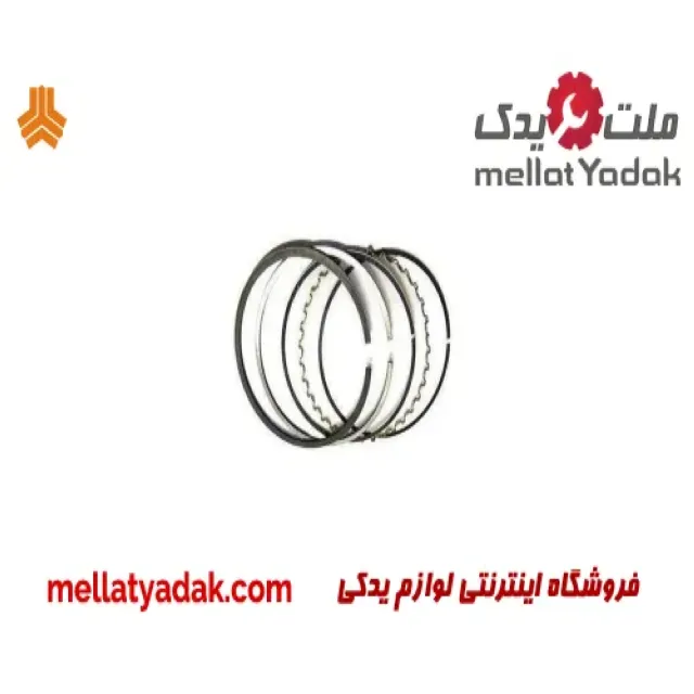 رینگ موتور استاندارد آریو Z300