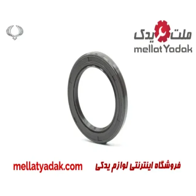 کاسه نمد ته میل لنگ سانگ یانگ تیوولی