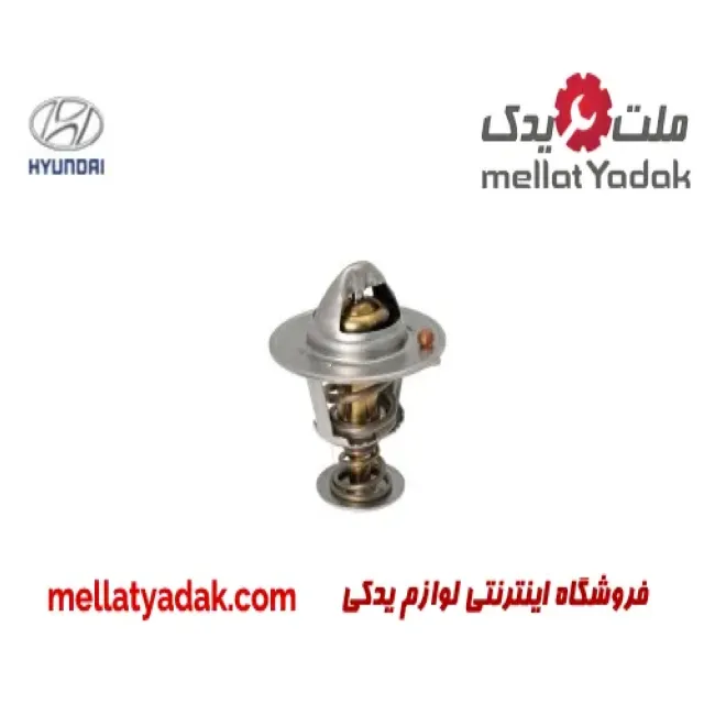ترموستات هیوندای النترا