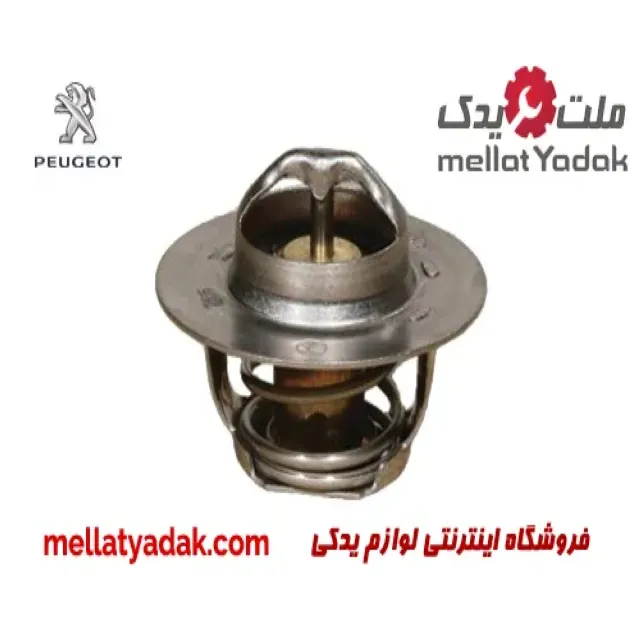 ترموستات پژو 405