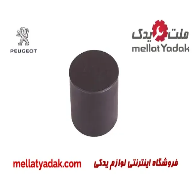 استکان تایپیت پژو 405